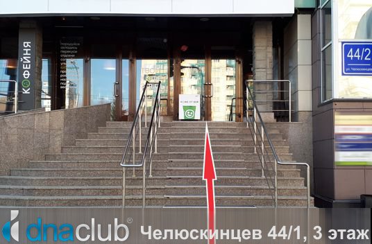 DNAClub Новосибирск